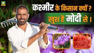 कश्मीरी #kesar की महंगी कीमत का कारण क्या है? जानिए खेती, फायदे और कीमत का रहस्य | #kisansamvadtv