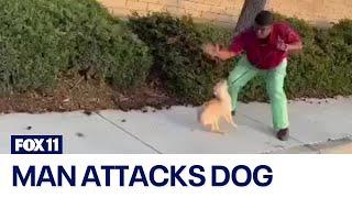 Man beats dog on camera in Anaheim