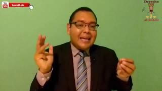 Acción Reivindicatoria y Acción Plenaria de Posesión (Publiciana).