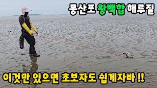 조개의 여왕 백합 해루질 이것만 있으면 초보자도 쉽게자바~!!