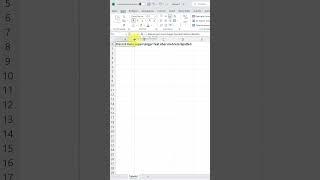 Excel – 3 Lösungen für zu langen Text