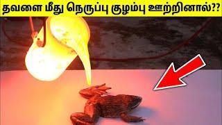 YouTube-ல் இருக்கும் வினோதமான Experiments | Crazy And Unbelievable Experiments | TAMIL AMAZING FACTS