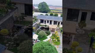 小院全景我的小菜园 我的乡村生活 农家小院 院里养花种菜