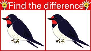 Find The Difference No.3411