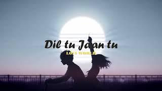 LOFI | Dil tu jaan tu | LOFI WORLD