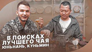 В поисках лучшего чая | Производство Пуэров | Идеальный красный чай | чаёк chaekshop