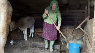 The lonely life of a 90-year-old grandmother in a high-mountain village far from civilization