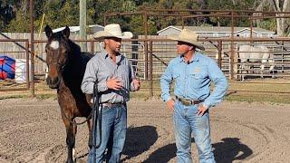 My Mustang gets Evaluated by another Trainer