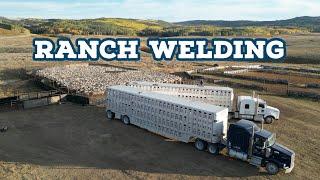 Building A Working Sheep Corral On The Mountain!