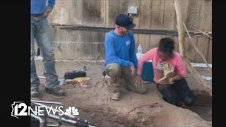 High-tech rescue saves elderly chihuahua from deep hole in the ground