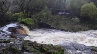 River Carron Waterfall Sound - 53 mins - For ASMR / Relaxation