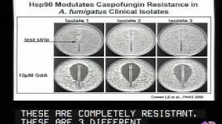 HSF and the Balancing Act between Neurodegeneration and Cancer