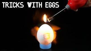 5 TRICKS WITH EGGS