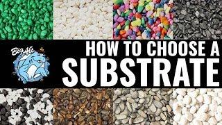 How to Choose an Aquarium Substrate | BigAlsPets.com