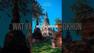 Visiting Wat Yai Chai Mongkhon: Tips & Insights for Travelers | Thailand #shorts