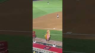 #lehighvalley #ironpigs #milb #porkrace #diggity #barbieq #hambone #ribbie #chrispbacon #5thinning