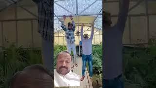 shahzad ansari 220vlog