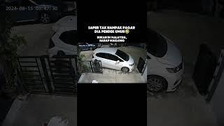 Just For Fun #justforfun #funny #funnyvideo #funnyshorts #viralvideo #comedy