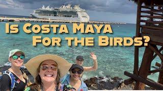 Costa Maya Mexican Salsa Experience and Beach Break..plus a tour of the port and Aviarius.