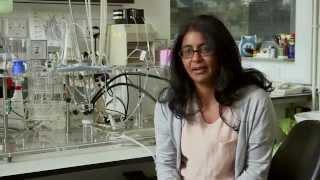 A chemical in vegetables protects against heart disease - Professor Amrita Ahluwalia