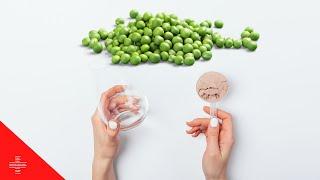 Pea protein: What is it, what are the benefits, and where to find it?