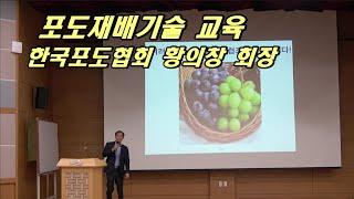 포도재배기술 및 포도수출 통한 포도산업 발전방향에 대한 제언