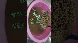 차조밥-차조는 독이없고 흡수가  잘돼  위와 비장을 튼튼하게 하고  식체를 없애  식욕부진을 치료해  준다 