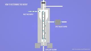 GC - Gas Chromatography - Split & splitless injection Animation HD