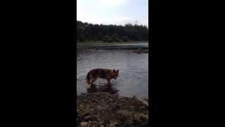 Cheeky girls splashing around