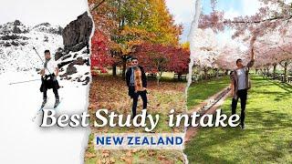 Best time to go New Zealand for Study | BM Maniya | New Zealand Vlogs