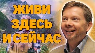 Экхарт Толле: «Живи здесь и сейчас». Новая Аудиокнига Экхарта Толле и Никошо