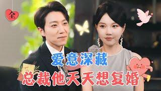 The CEO Wants to Remarry Every Day | Ma Lejie & Song Chen