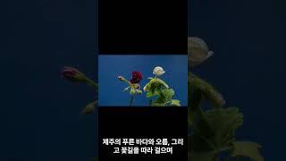 Beautiful trekking trails in South Korea, a healing journey in nature