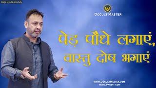 पेड़ पौधे लगाएं व् वास्तु शास्त्र दोष भगाएं - Vastu shastra and plants in all directions