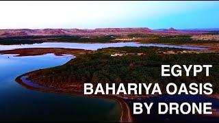 Bahariya Oasis by Drone Salt Lake El Marun Palm date Forest