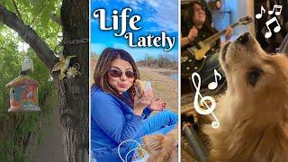 MARCY INSPIRED BONUS VIDEO: A Backyard Tour, A Picnic in the Bosque, & Cilantro Singing Off Key