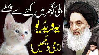 Ghar Main Cats Paalny Sy Pehly Ye Video Sun Lain | Maulana Syed Payam Haider Rizvi | ⓒ Prohibited