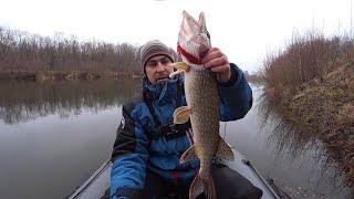 Winter Spinning for Pike in December. Pike on Jig