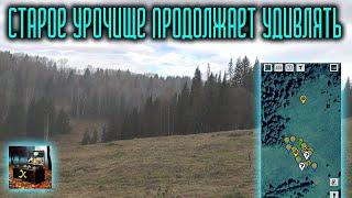 Старое урочище продолжает удивлять.