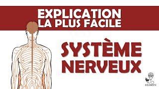 l'explication la plus facile - le Système Nerveux