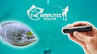 Westin Escape Cam - Deep Water Black Bream Fishing & Underwater Marine Life