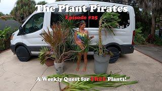 Finding FREE Plants Every Week! |The Plant Pirates Episode #25