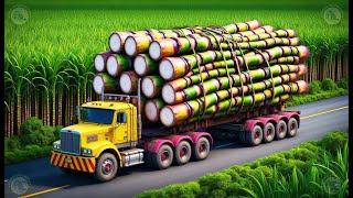 Sugarcane Farming and Processing | Farming Documentary | Modern Agriculture Technology