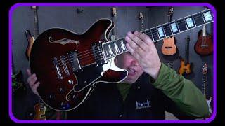 Checking Out The  D'Angelico Premier Mini DC Electric
