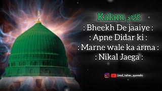 Bheekh De Jaaiye Apne Didar Ki qawwali ||md_taher_qureshi #qawwali