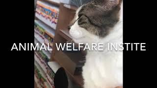 Animal Welfare Institute - Dragons Den 2018