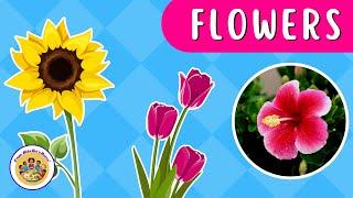 Kids Educational Videos | Kindergarten and Elementary ENGLISH Math SCIENCE | Learn Flower Names!