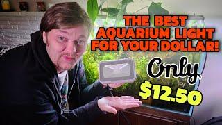 The SECRET BEHIND The MOST Affordable Aquarium Light! HIGH LIGHT & Quality at A Cheap Price!