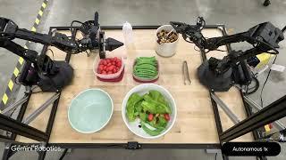 Gemini Robotics Demo: Salad Making