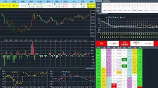 20241128 台指期當沖、選擇權籌碼、即時盤中數據直播